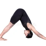 Home surya namaskar dog pose 25340517